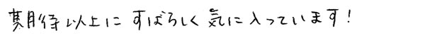 期待以上にすばらしく気に入っています！